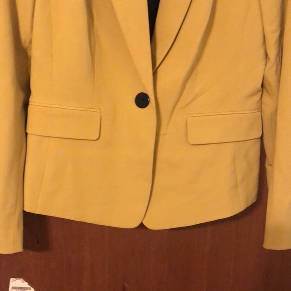 Jacket - Picture 2 of 4